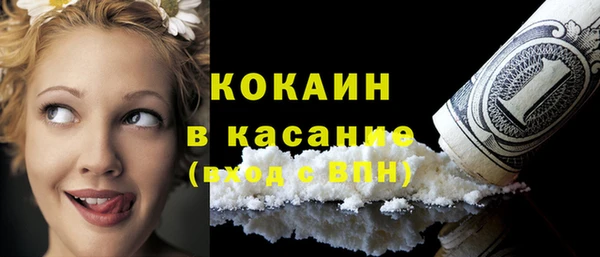 стаф Магас