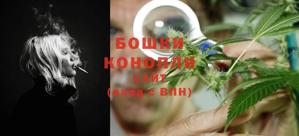 стаф Магас