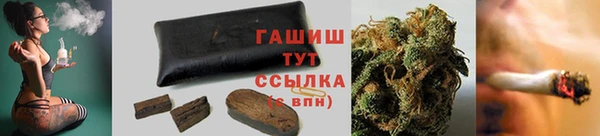 стаф Магас