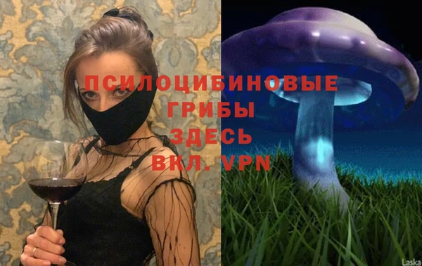 Альфа ПВП Магадан