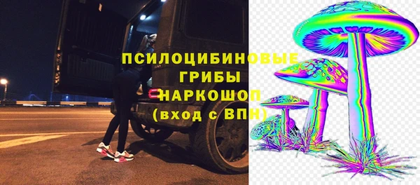 Альфа ПВП Магадан