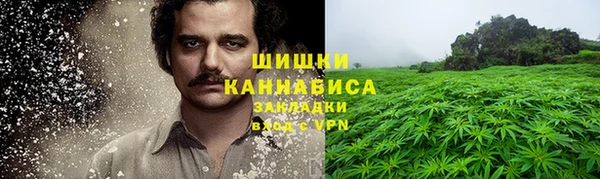 стаф Магас