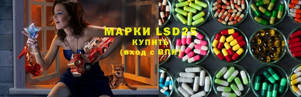 Альфа ПВП Магадан