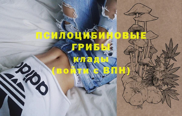 стаф Магас