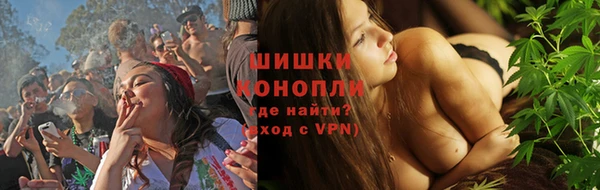 стаф Магас