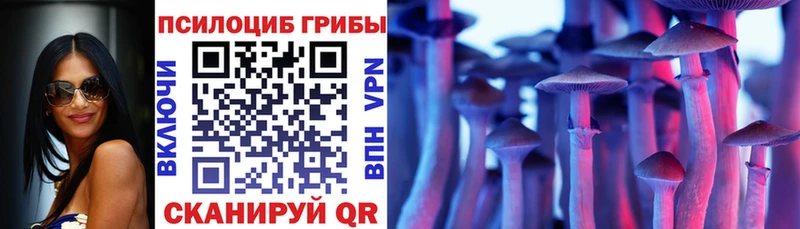 Псилоцибиновые грибы Cubensis  mega сайт  Зарайск  где продают наркотики 